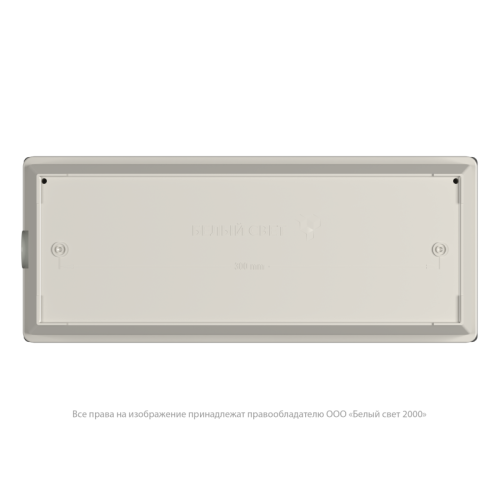 Светильник аварийный BS-METEORIT-51-L1-INEXI2 3000К DD01 Белый Свет a30014