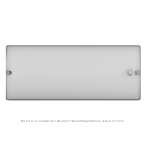 Светильник аварийный BS-METEORIT-53-L1-INEXI2 3000К DD01 Белый Свет a30015