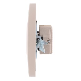 Розетка 1-м СП Rain 16А IP20 без заземл. керамика жемчуж./бел. метал. LEZARD 703-3030-121