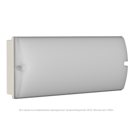 Светильник аварийный BS-METEORIT-543-20x0.3 LED Белый Свет a29283