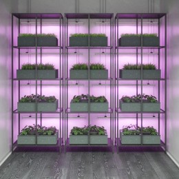 Светильник светодиодный Fito 12Вт IP20 350лм 175-265В 865х25х37мм ДВО для растений бел. GAUSS 130411