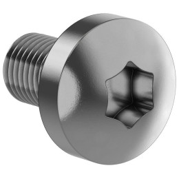 Винт М6х10 TORX30 DIN7500C (уп.50шт) FORMAT IEK FO-00D-VTORX-M6X10-050