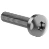 Винт М6х30 TORX30 DIN7500C (уп.20шт) FORMAT IEK FO-00D-VTORX-M6X30-020