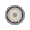 Светильник светодиодный ZENITH LED 50 D270 g Ex G2 СТ 1226000430