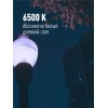 Лампа светодиодная высокомощная HWLED 80Вт 220В E27 6500К (переходник с E27 на E40 в комплекте) КОСМ