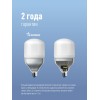Лампа светодиодная высокомощная HWLED 80Вт 220В E27 6500К (переходник с E27 на E40 в комплекте) КОСМ