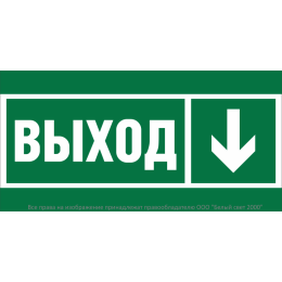 Знак безопасности BL-3015B.E29 "Направление к эвакуационному выходу вниз" Белый Свет a29218
