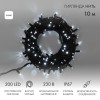 Гирлянда светодиодная "Нить" 10м 200LED бел. 18Вт 230В IP67 постоян. свечение провод каучук черн. (н