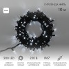 Гирлянда светодиодная "Нить" 10м 200LED бел. 18Вт 230В IP67 эффект мерцания провод каучук черн. (нуж