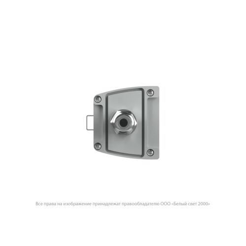 Светильник аварийный BS-AMON-53-L1-INEXI2 V02 5000К Белый Свет a28980