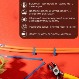 Хомут кабельный 2.5х100 нейл. син. (уп.25шт) Rexant 07-0105-25