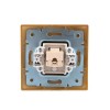 Розетка компьютерная 1-м СП Mira RJ45 ольха LEZARD 701-0701-139