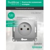 Розетка 1-м СП Glossa 16А IP20 без заземл. механизм алюм. SE GSL000341