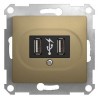 Розетка USB 1-м СП Glossa механизм титан SchE GSL000432