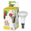 Лампа светодиодная LED-R50-standard 5Вт 3000К тепл. бел. E14 450лм 160-260В ASD 4690612001531