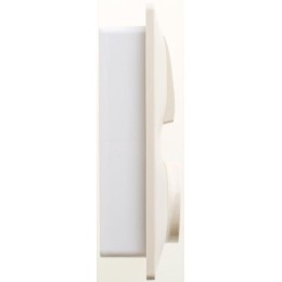 Блок комбинированный Glossa (розетка защ. шторки с заземл.+ 2-кл. выкл.) беж. SE GSL000274