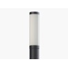 Светильник COLOSS LED 30W RS 830 RAL9005 POLE 3M СТ 4798000010