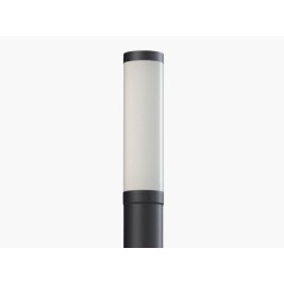 Светильник COLOSS LED 30W RS 830 RAL9005 POLE 3M СТ 4798000010