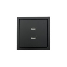 Розетка 1-мест. с 2-мест. USB разъем СП ZIMA IP20 черн. бархат LEZARD 704-4288-192