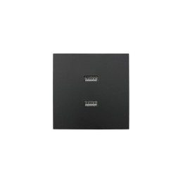 Розетка 1-мест. с 2-мест. USB разъем СП ZIMA IP20 черн. бархат LEZARD 704-4288-192