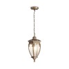 Светильник Fleur 1х60Вт E27 IP44 подвесной Maytoni O414PL-01GB