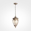 Светильник Fleur 1х60Вт E27 IP44 подвесной Maytoni O414PL-01GB