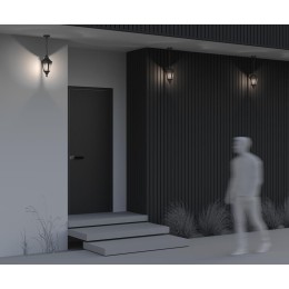 Светильник Goiri 1х60Вт E27 IP44 подвесной Maytoni O029PL-01BZ