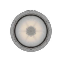 Светильник светодиодный ZENITH LED 30 D270 G Ex G2 СТ 1226000730