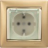 Розетка 1-м СП Valena 16А IP44 2P+E защ. шторки с крышкой немецк. стандарт механизм сл. кость Leg 77