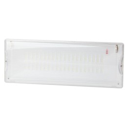 Светильник светодиодный DPA-301-0-65 40LED 3ч IP65 аварийный непостоянный Эра Б0044405