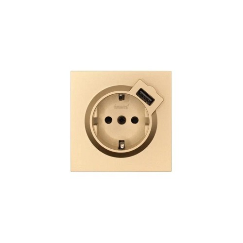 Розетка 1-мест. с/з+USB разъем СП ZIMA IP20 зол. LEZARD 704-3688-181
