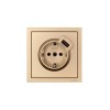 Розетка 1-мест. с/з+USB разъем СП ZIMA IP20 зол. LEZARD 704-3688-181