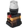 Кнопка ABLF-22 d22мм 1з+1р 240В неон прозр. IEK BBT10-ABLF-K08