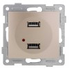 Механизм розетки USB 2-местн. СП Bravo шампань GUSI С10USB2-027