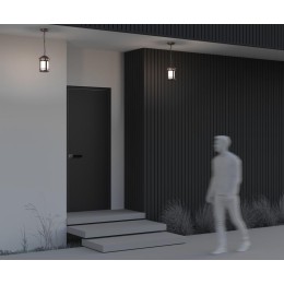 Светильник Salamanca 1х60Вт E27 IP44 подвесной Maytoni O031PL-01BR