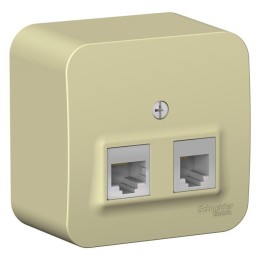 Розетка компьютерная + телефонная 2-м ОП Blanca RJ45 кат.5E + RJ11 с изолир. пластиной беж. SE BLNIA