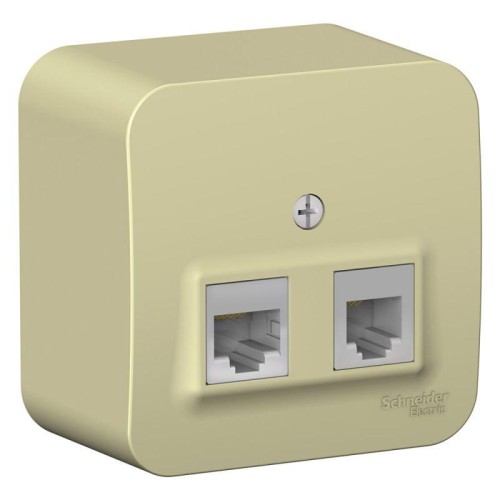 Розетка компьютерная + телефонная 2-м ОП Blanca RJ45 кат.5E + RJ11 с изолир. пластиной беж. SE BLNIA