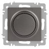 Светорегулятор поворотный СП Accent 6-401-09 600Вт 230В IP20 титан Intro Б0063685