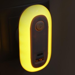 Светильник светодиодный ночник LED USB+TypeC 220В NL-267 Camelion 15384