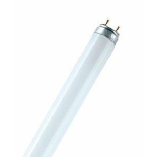 Лампа люминесцентная L 18W/77 FLUORA 18Вт T8 7700К G13 OSRAM 4050300004235