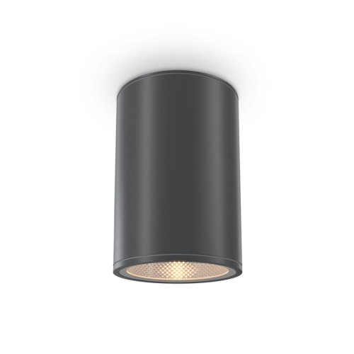 Светильник Bar 12Вт 3000К IP65 потолочн. Maytoni O306CL-L12GF