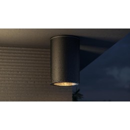 Светильник Roll 1х50Вт GU10 IP54 потолочн. Maytoni O307CL-01B