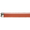 Лампа люминесцентная TL-D 18W/15 18Вт T8 G13 крас. спец. PHILIPS 871150072684140