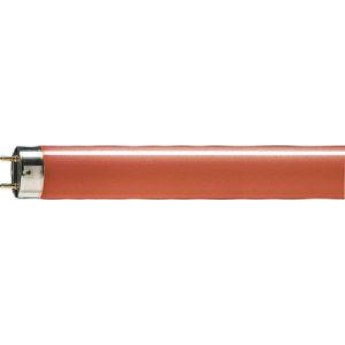 Лампа люминесцентная TL-D 18W/15 18Вт T8 G13 крас. спец. PHILIPS 871150072684140