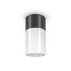 Светильник Willis 1х60Вт E27 IP54 потолочн. Maytoni O418CL-01B