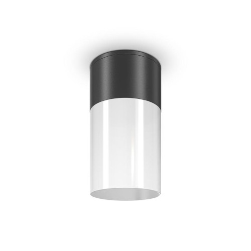 Светильник Willis 1х60Вт E27 IP54 потолочн. Maytoni O418CL-01B