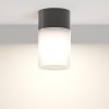 Светильник Willis 1х60Вт E27 IP54 потолочн. Maytoni O418CL-01B