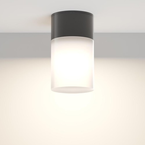 Светильник Willis 1х60Вт E27 IP54 потолочн. Maytoni O418CL-01B