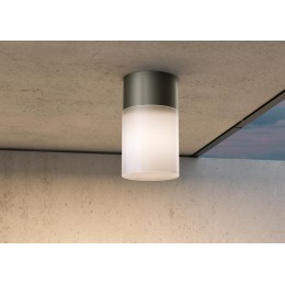 Светильник Willis 1х60Вт E27 IP54 потолочн. Maytoni O418CL-01B