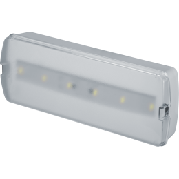 Светильник светодиодный 95 294 NEF-21 5Вт 300лм 220-240В IP20 акк. LiFePO4 1800мА.ч аварийно-эвакуац